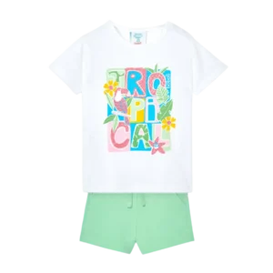Conjunto punto verde
