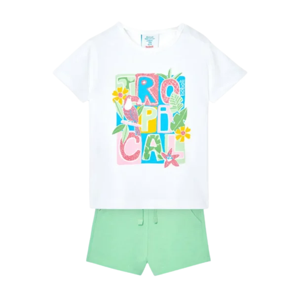 Conjunto punto verde